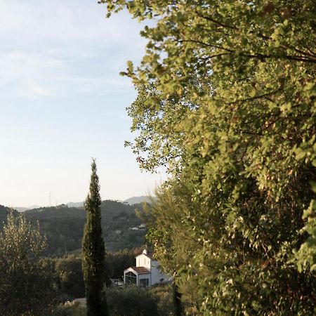B&B La Fustaia Sarzana Exterior foto